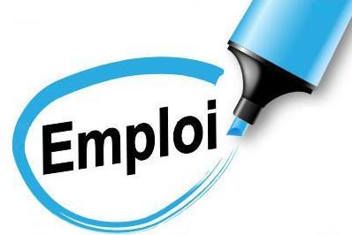 You are currently viewing Activité GROUPE EMPLOI.